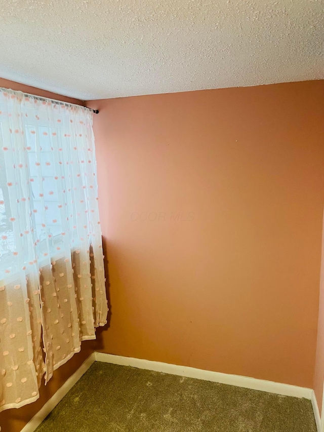 unfurnished room featuring a textured ceiling and carpet floors