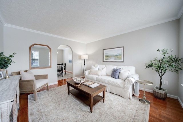 living room featuring hardwood / wood-style floors, crown molding, and a textured ceiling