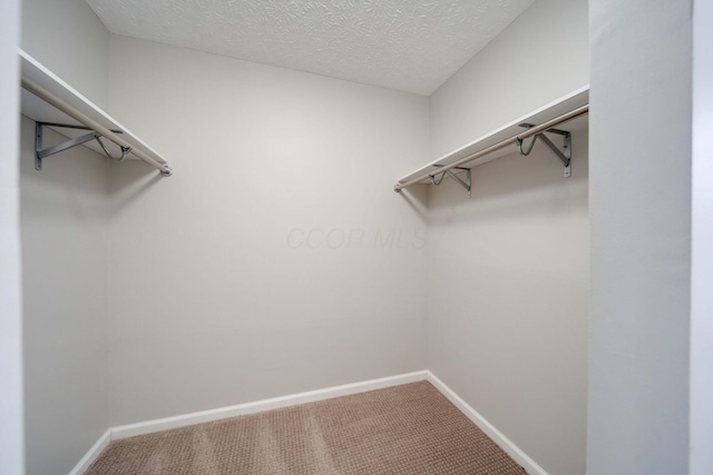 spacious closet with carpet floors