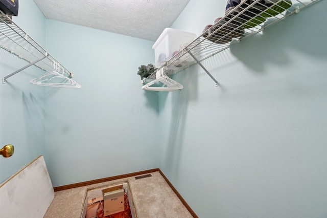 walk in closet with carpet floors