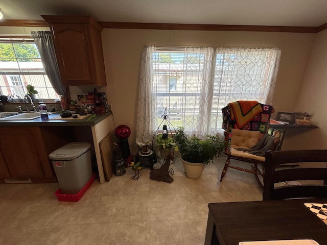 sitting room featuring sink and crown molding