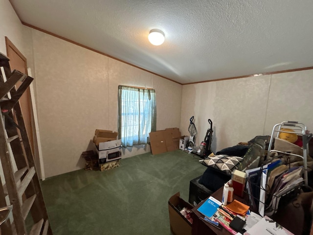 misc room with crown molding, vaulted ceiling, carpet, and a textured ceiling