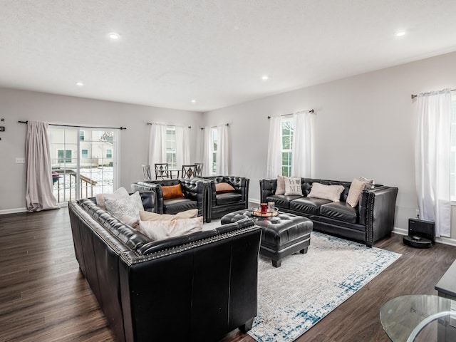 living room featuring dark wood-type flooring