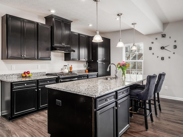 kitchen with stainless steel gas range, sink, pendant lighting, dark wood-type flooring, and a center island with sink