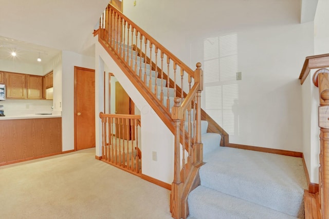 staircase featuring carpet flooring