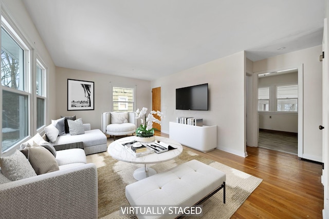 living room with hardwood / wood-style flooring