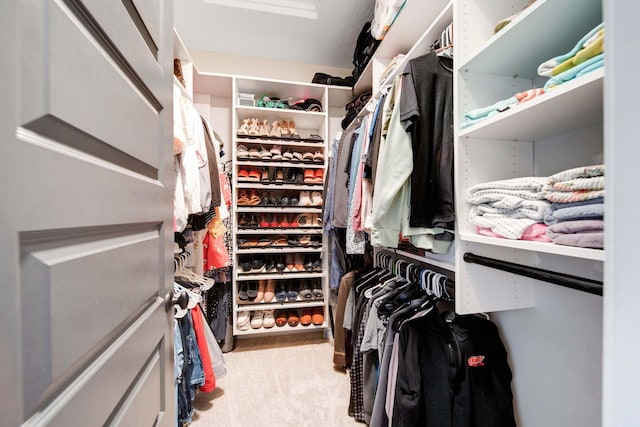 spacious closet with carpet floors