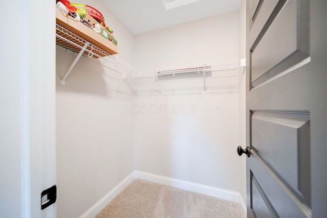 walk in closet featuring carpet flooring