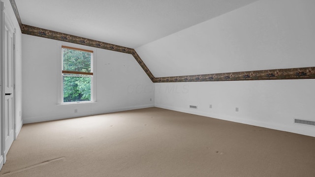 1859 Hardscrabble Rd, Alexandria, OH 43001 - bonus room with lofted ceiling, baseboards, and carpet flooring