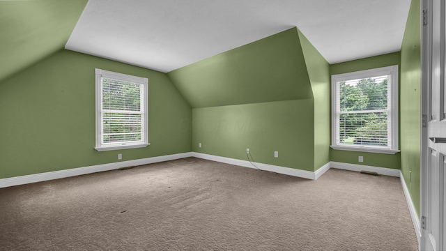 1859 Hardscrabble Rd, Alexandria, OH 43001 - additional living space featuring baseboards, carpet floors, and vaulted ceiling