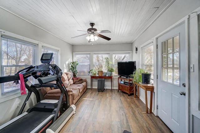 exercise room featuring wood-type flooring, radiator heating unit, ceiling fan, and wood ceiling