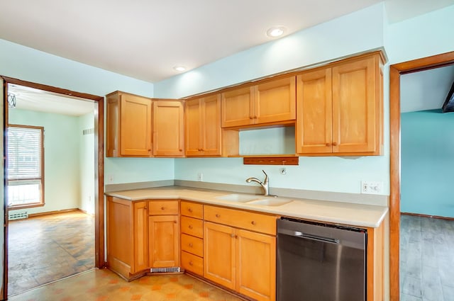 kitchen with stainless steel dishwasher, light hardwood / wood-style floors, and sink