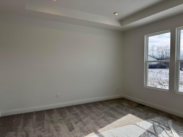 carpeted spare room with a raised ceiling