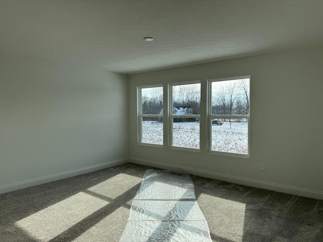 unfurnished room featuring carpet flooring