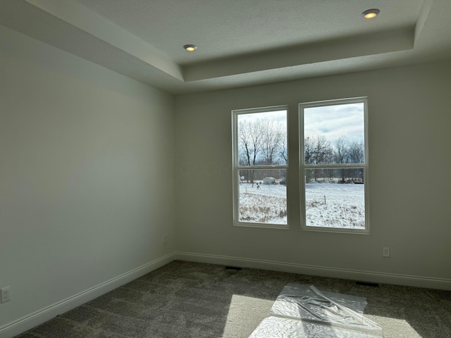 carpeted spare room with a raised ceiling