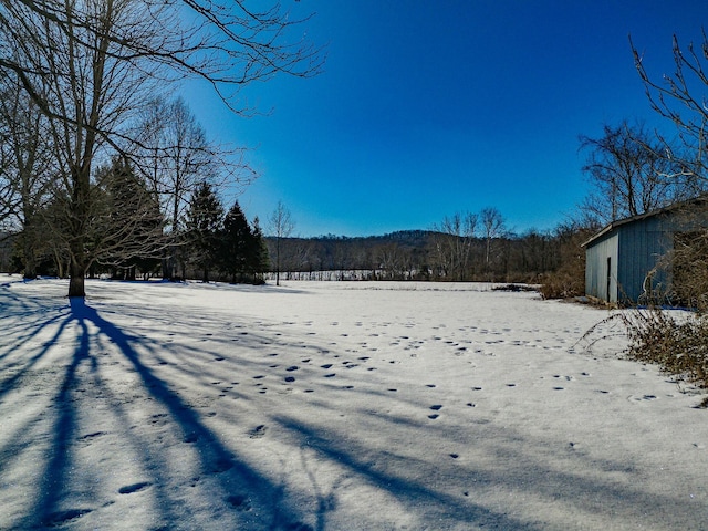 view of yard layered in snow