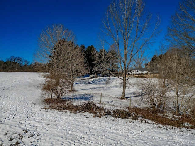 view of yard covered in snow