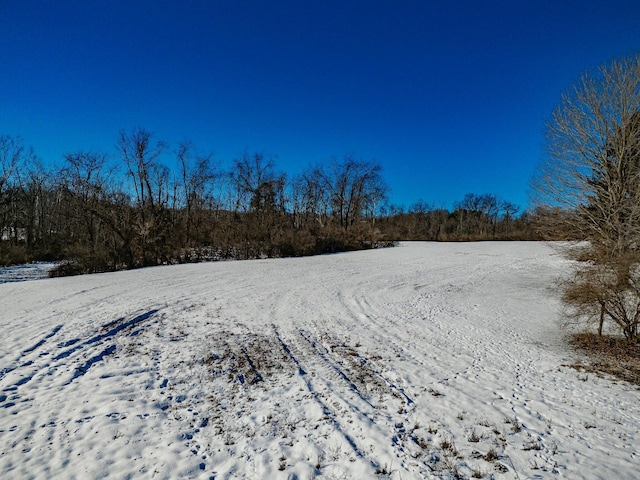 view of yard covered in snow