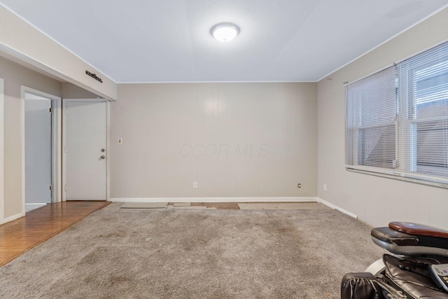 spare room with carpet