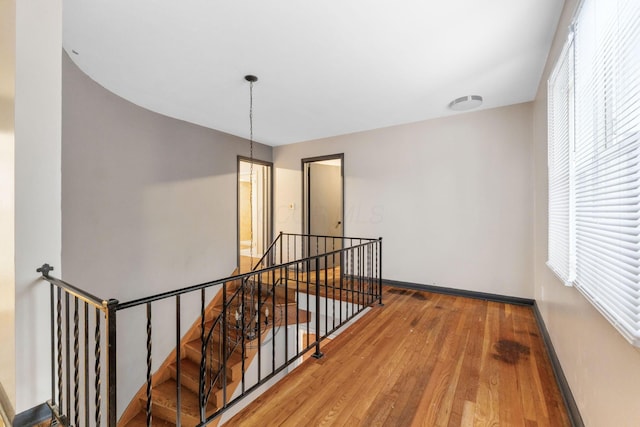 stairs featuring hardwood / wood-style flooring