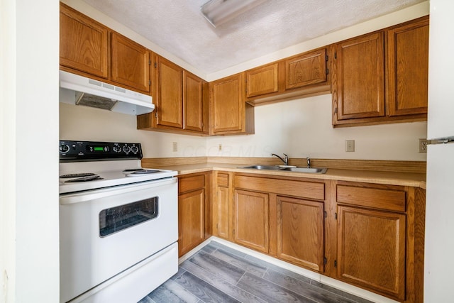 kitchen featuring sink, white range with electric stovetop, dark hardwood / wood-style flooring, and a textured ceiling