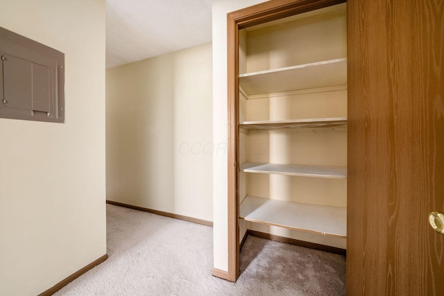 closet featuring electric panel