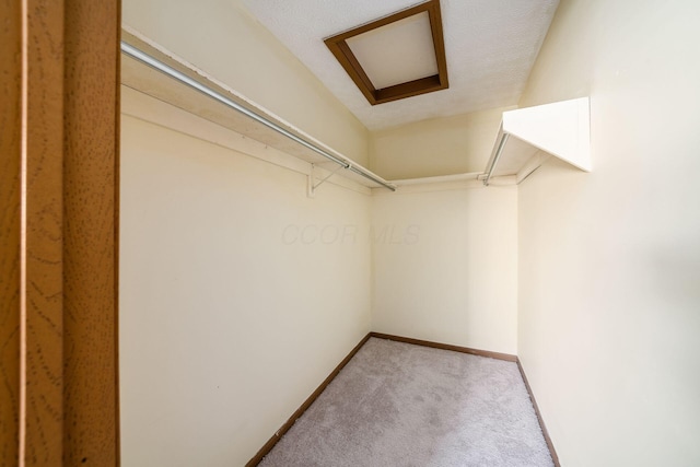 spacious closet featuring carpet floors