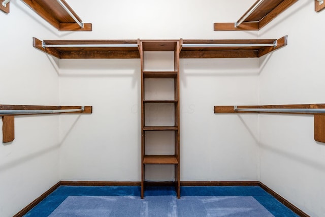 walk in closet featuring dark carpet