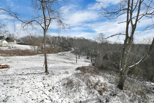 view of snowy view