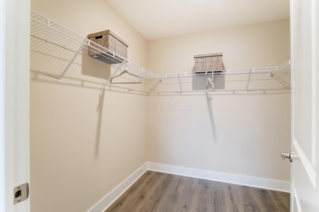 walk in closet featuring wood-type flooring