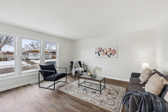 living room with dark wood-type flooring