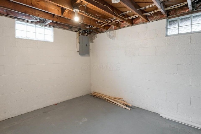 basement with electric panel