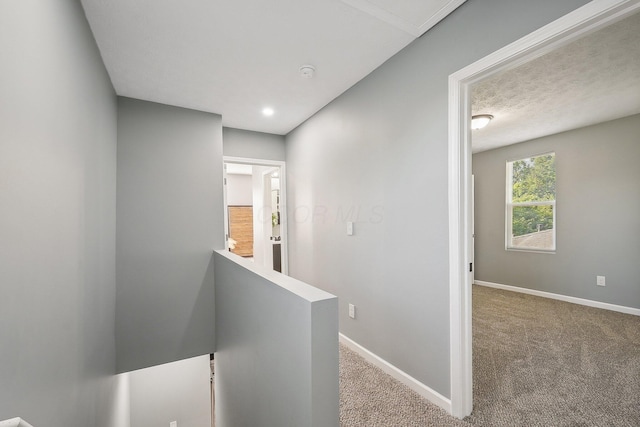 hallway featuring carpet flooring