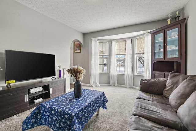 carpeted living room featuring a textured ceiling