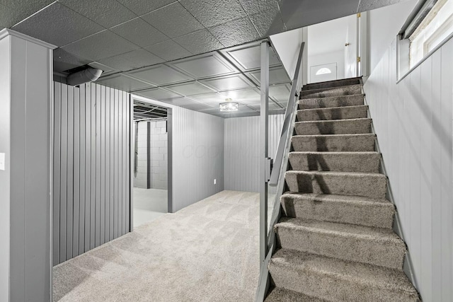 staircase featuring carpet flooring and wood walls