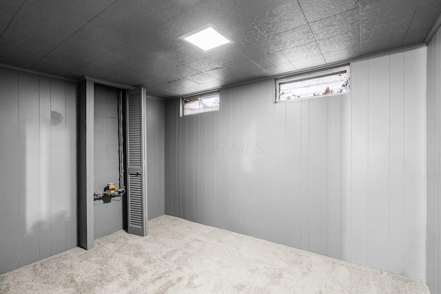 basement featuring carpet floors and wood walls