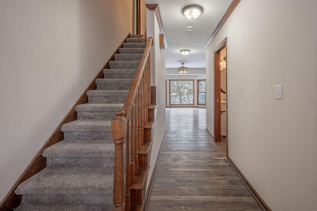 stairs featuring crown molding and hardwood / wood-style flooring