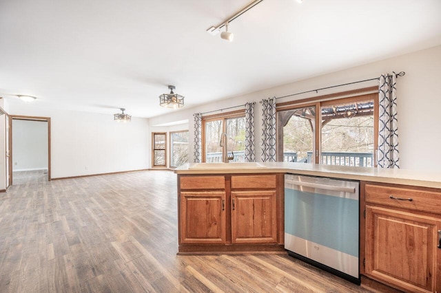 kitchen with rail lighting, sink, stainless steel dishwasher, and light hardwood / wood-style floors