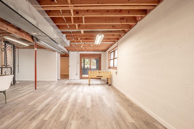 basement featuring wood-type flooring