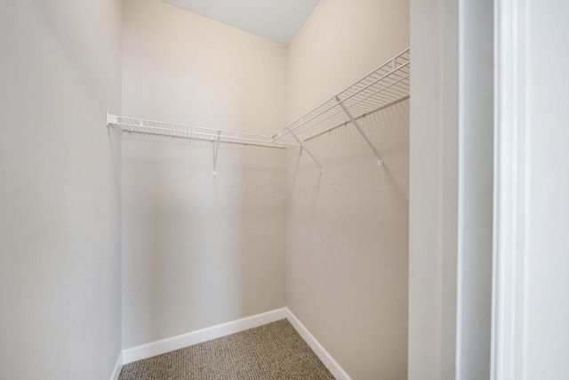 spacious closet with carpet