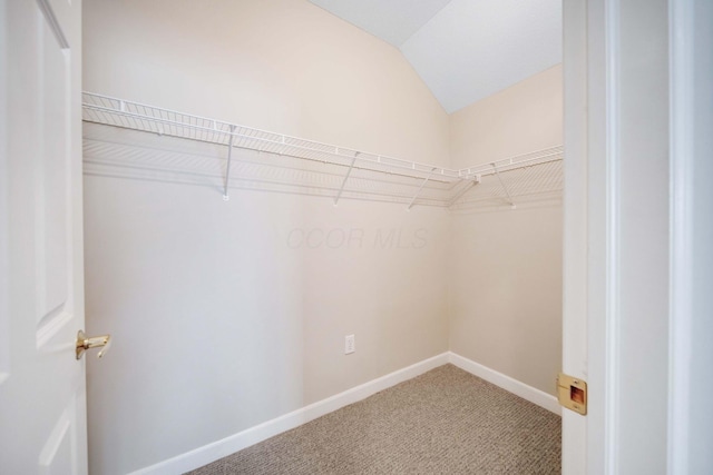 walk in closet with vaulted ceiling and carpet floors