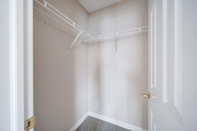 view of walk in closet