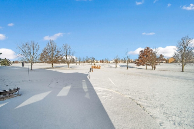 view of yard covered in snow