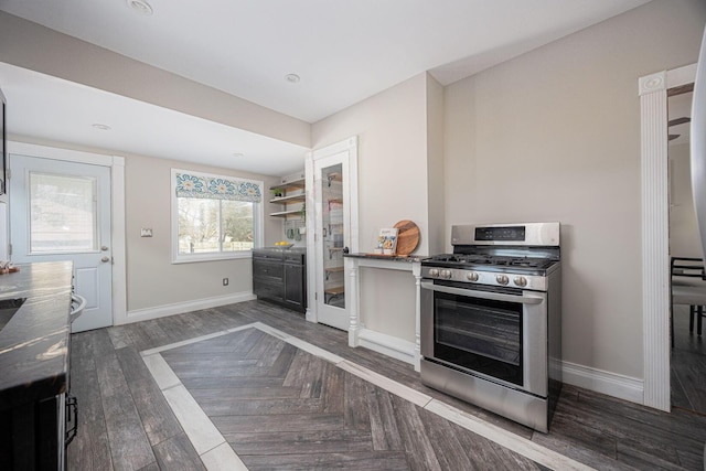 kitchen featuring stainless steel range with gas cooktop and dark parquet floors