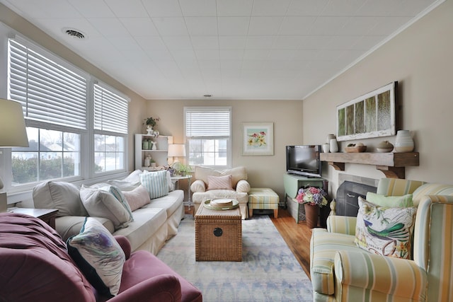 living room with plenty of natural light and light wood-type flooring