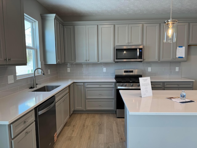 kitchen featuring gray cabinets, light hardwood / wood-style flooring, stainless steel appliances, and sink