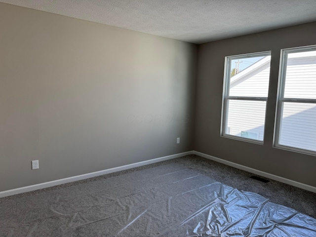 carpeted spare room with a textured ceiling and a wealth of natural light