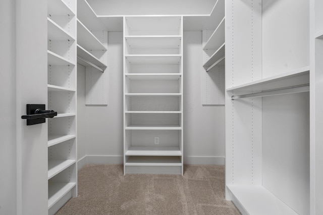 walk in closet with carpet flooring