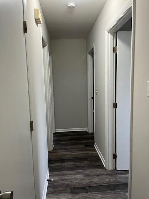 corridor with dark wood-type flooring