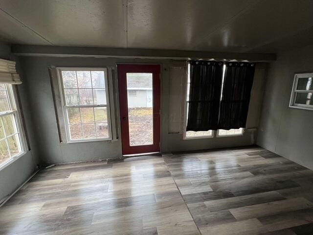 spare room with light hardwood / wood-style flooring